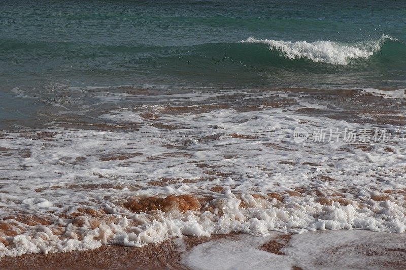 白色泡沫的海浪