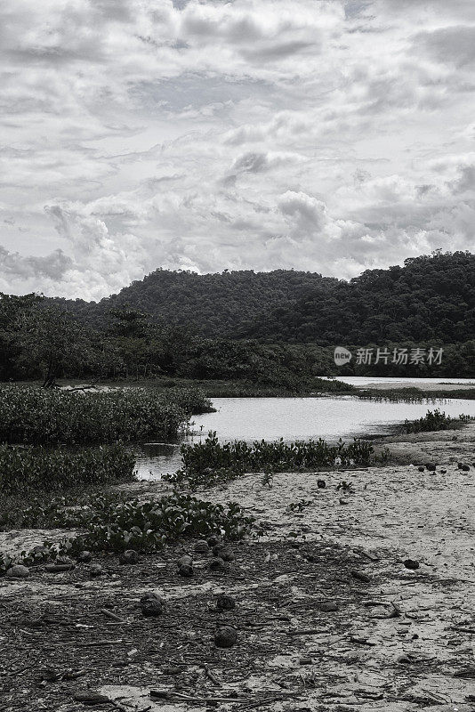 帕拉蒂湾的沙洲