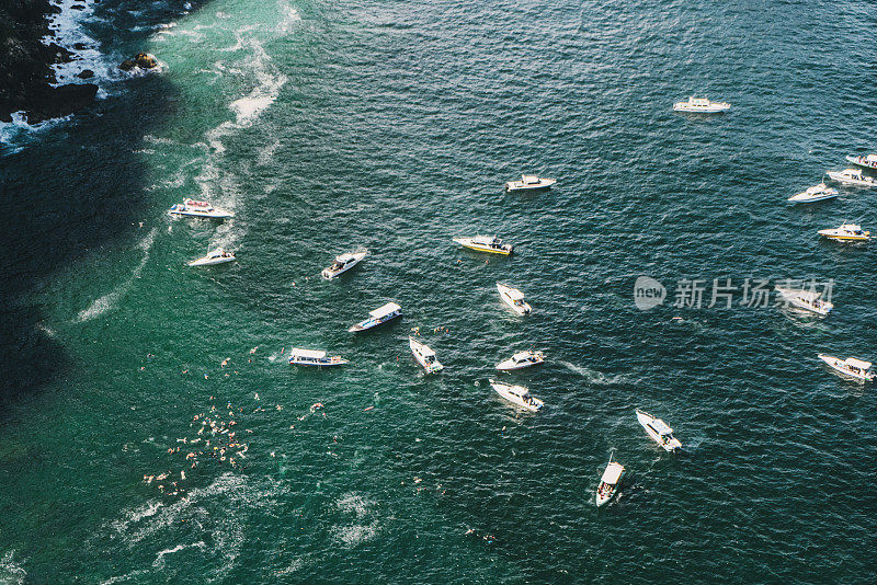 风景优美，许多船只在努沙佩尼达的海面上寻找蝠鲼