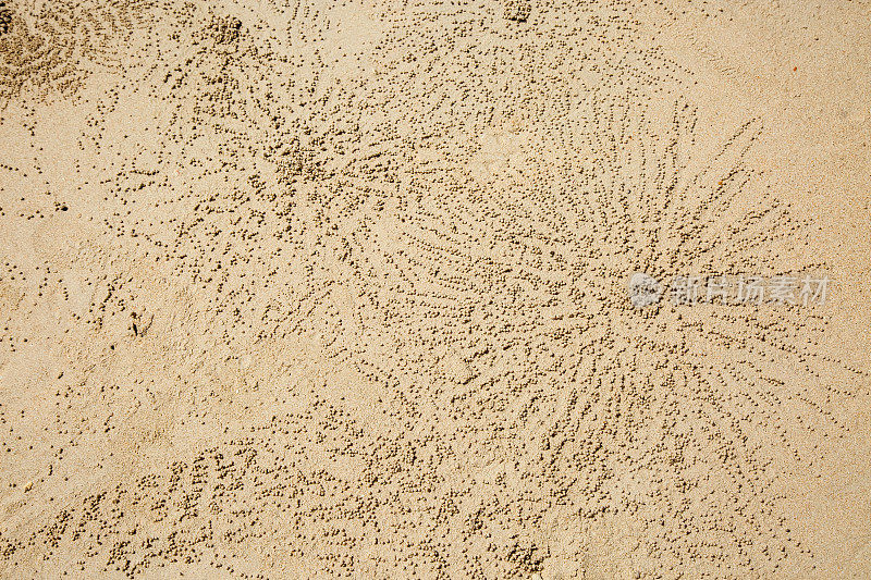 沙子的纹理。沙球围绕着沙泡鬼螃蟹的洞