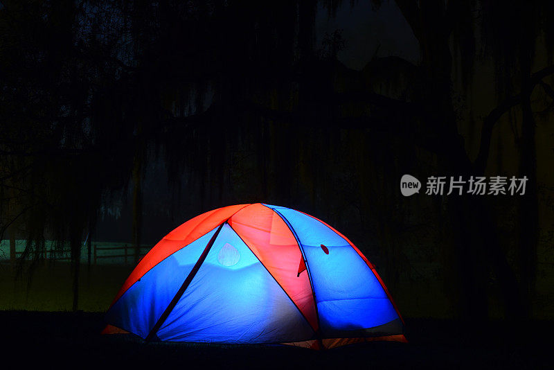 西班牙苔藓覆盖的橡树下的夜光帐篷