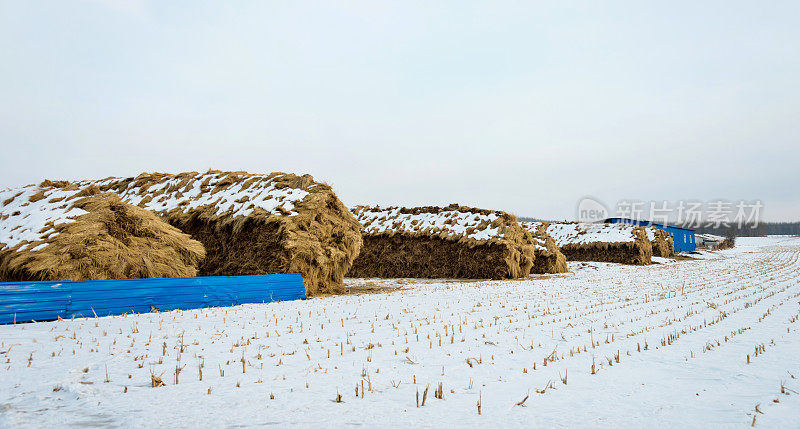 草地上的草堆被雪覆盖着