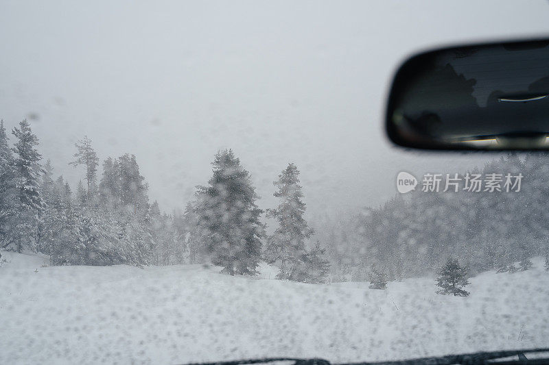 汽车POV在积雪覆盖的路上行驶，先下起了雪。