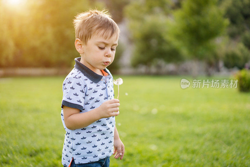 快乐的小男孩吹蒲公英