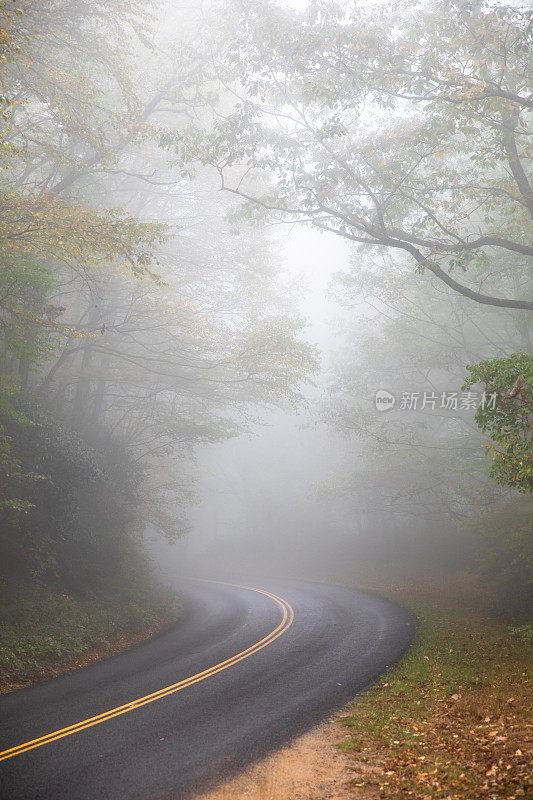 浓雾笼罩，绿树成荫的弯曲山路-蓝岭公园路