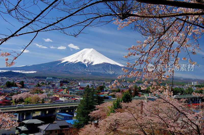 富士山和樱花:从荒山森根公园，富士吉田