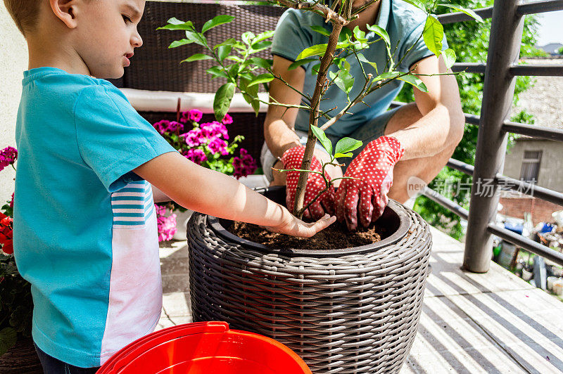 男孩帮助单身父亲种植植物