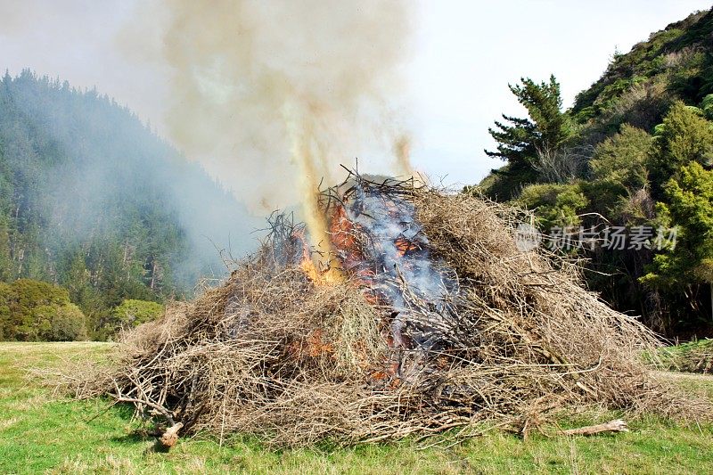 乡村场景中火被控制燃烧