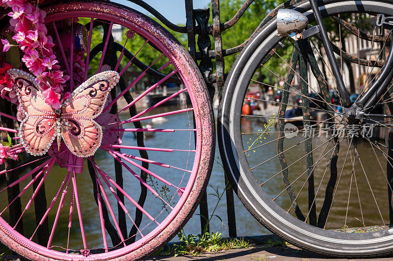 粉色自行车，荷兰阿姆斯特丹