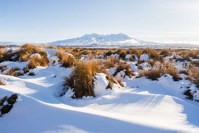 新西兰，积雪覆盖的鲁阿佩胡山。