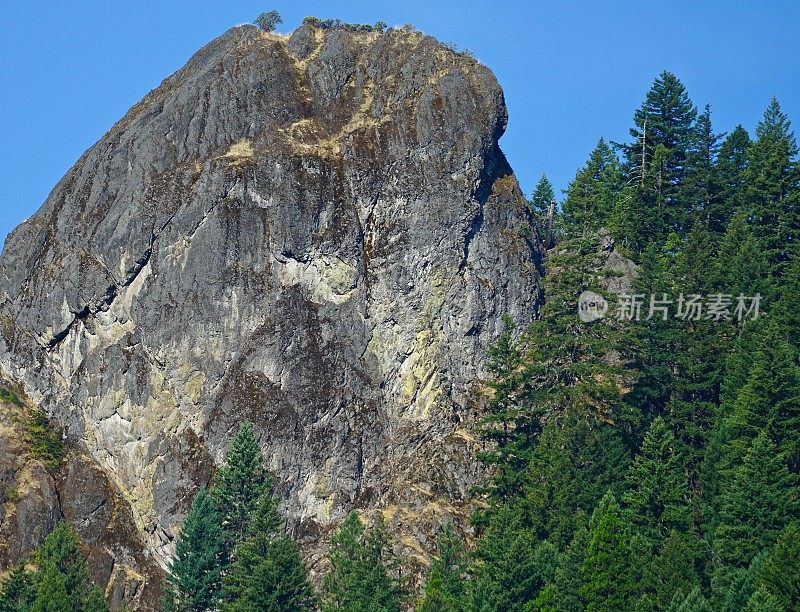 太平洋西北鹰岩