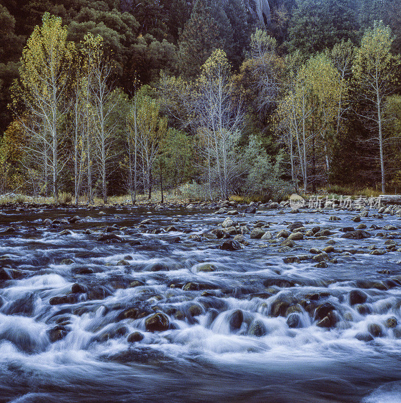 约塞米蒂山谷默塞德河的秋景