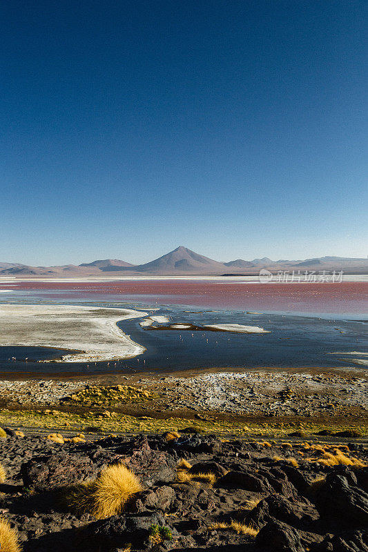 风景秀丽的拉古纳科罗拉多在日落在Altiplano，玻利维亚