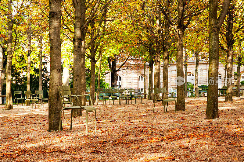 巴黎:秋天的卢森堡花园。
