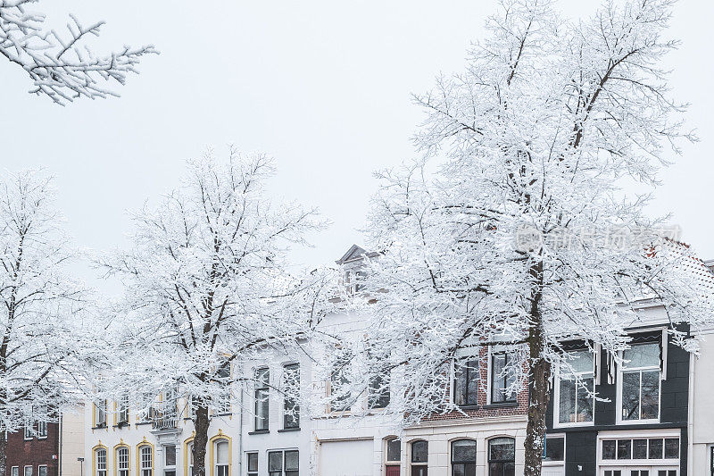 位于市中心Burgwal运河旁的坎彭市的典型荷兰房屋，树木被霜冻覆盖