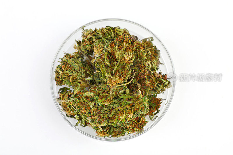 一堆大麻芽在一个小盘子里