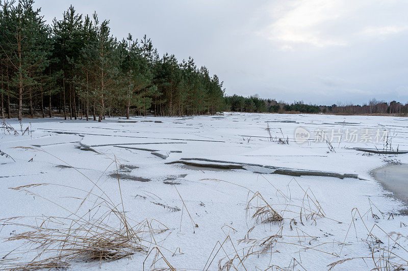 森林湖被冰雪覆盖着。一片水域上的一层层破碎的冰。针叶林中的早春。自然背景