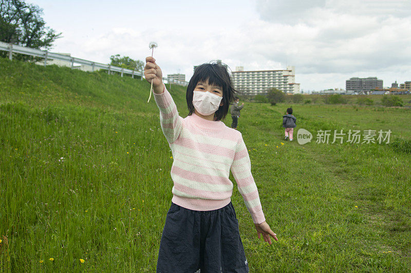 小女孩在草地上有蒲公英的种子