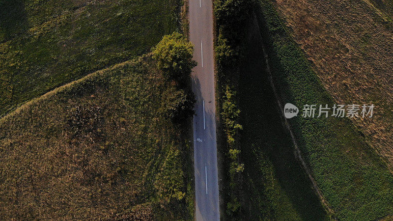 鸟瞰图，一辆红色的汽车沿着一条两侧是森林的道路行驶