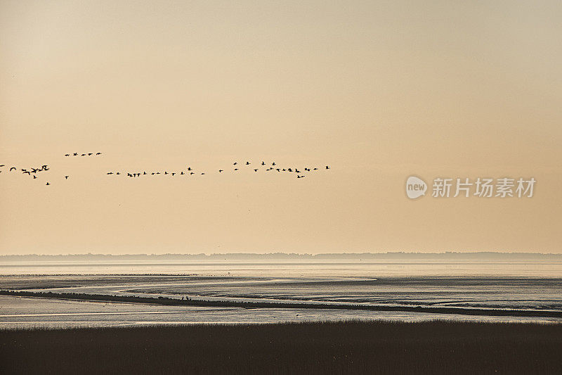 丹麦西南海岸的瓦登海