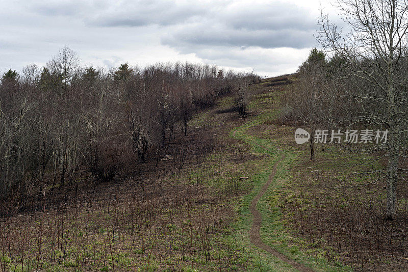 田纳西的一个秃顶，阿巴拉契亚山道贯穿其中