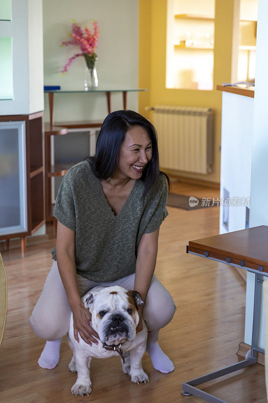 亚洲女人和她可爱的英国斗牛犬之间的友谊。