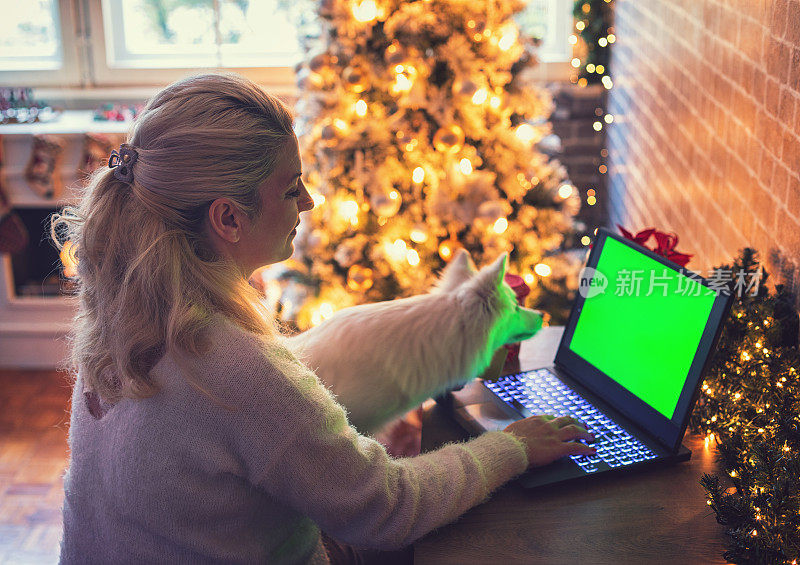 年轻美丽的女人享受舒适的圣诞节气氛，同时使用笔记本电脑在线购物。
