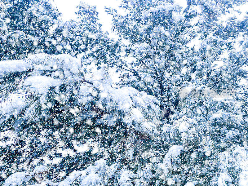 下雪天