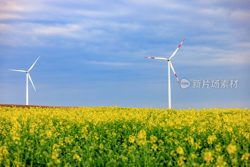 春天农用田地上的风电场