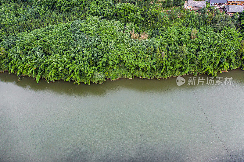 竹林与河流