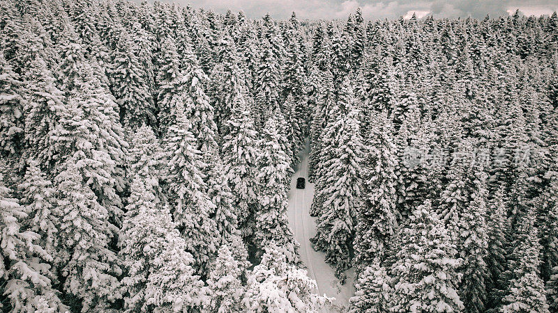 黑色4x4越野车行驶在冰雪覆盖的森林道路上，冬季公路旅行穿过白雪覆盖的松林，行驶在冬天的乡村道路上，吉普车在冬天的山上