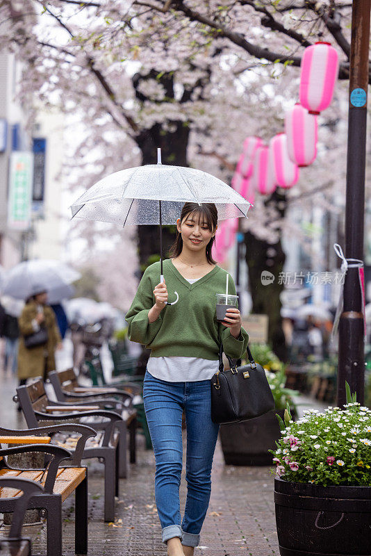 年轻女子走在樱花下在一个雨天的城市