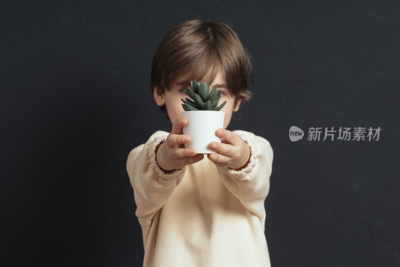 小男孩抱着虚幻的植物