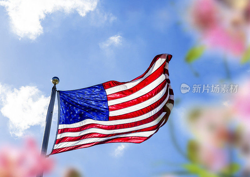 美国国旗和鲜花在晴朗的天空