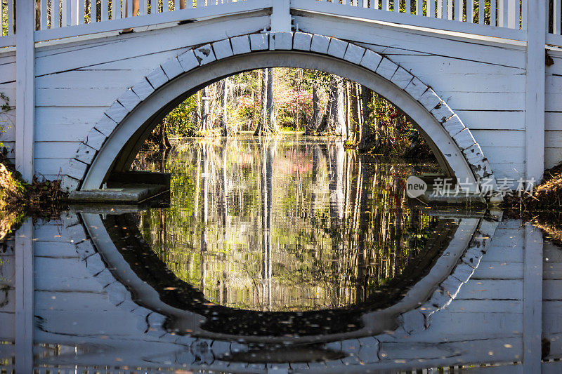 小桥:森林或沼泽中非常静的水面上的小桥