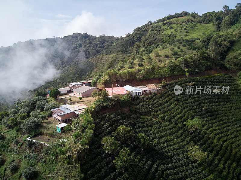 鸟瞰图在咖啡山中间的乡村别墅