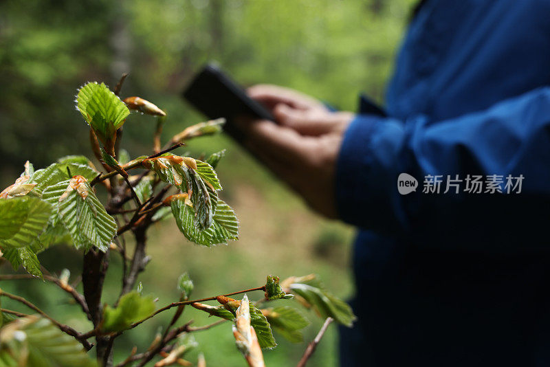 人用数码平板求植物绿色可持续增长