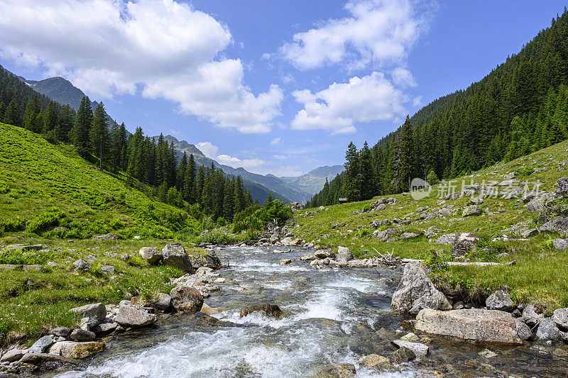 山水在山，河流和森林