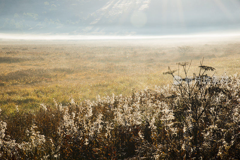 日本长野县，Kirigamine高原，清晨薄雾飘散的秋天的八镜原沼泽地