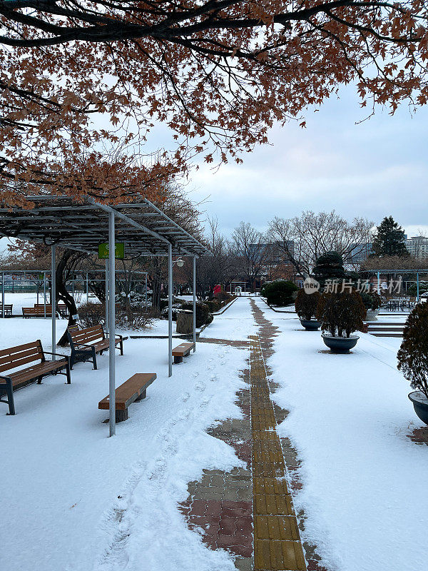 下雪天早晨公园长椅