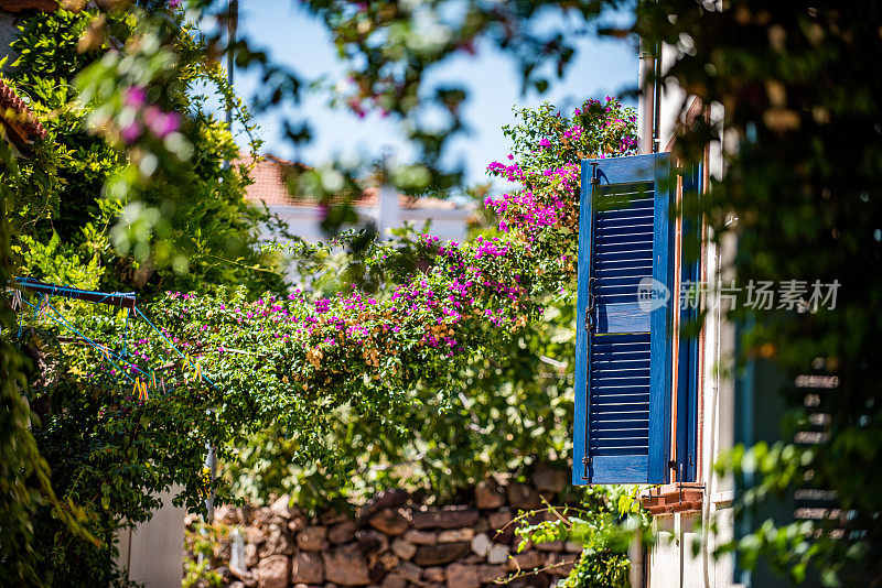 阿利贝岛一座老房子的蓝色百叶窗和九重葛花