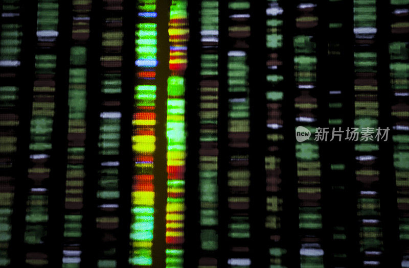 DNA序列
