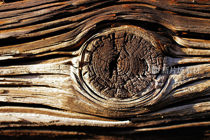 晒干木材的自然细节
