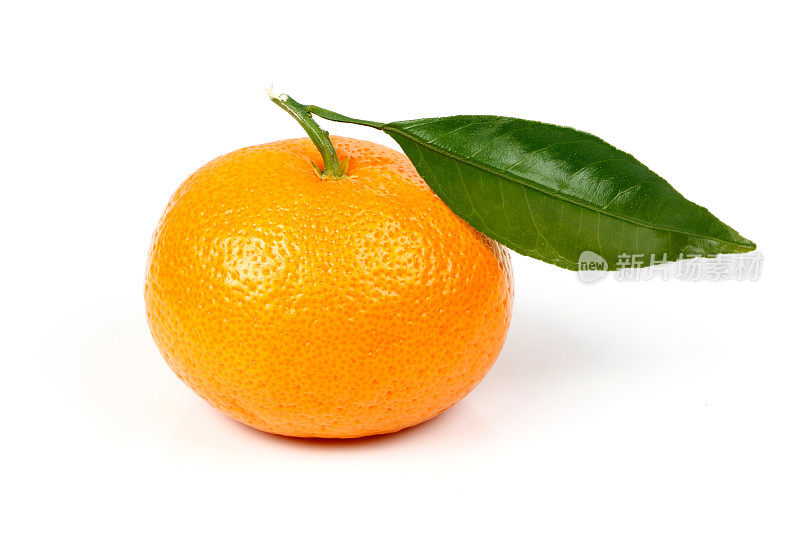 带叶子的鲜橘子