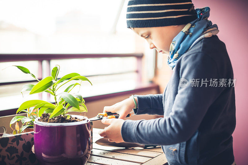 小男孩爱护一株植物