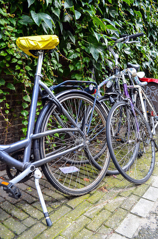 阿姆斯特丹城市荷兰自行车