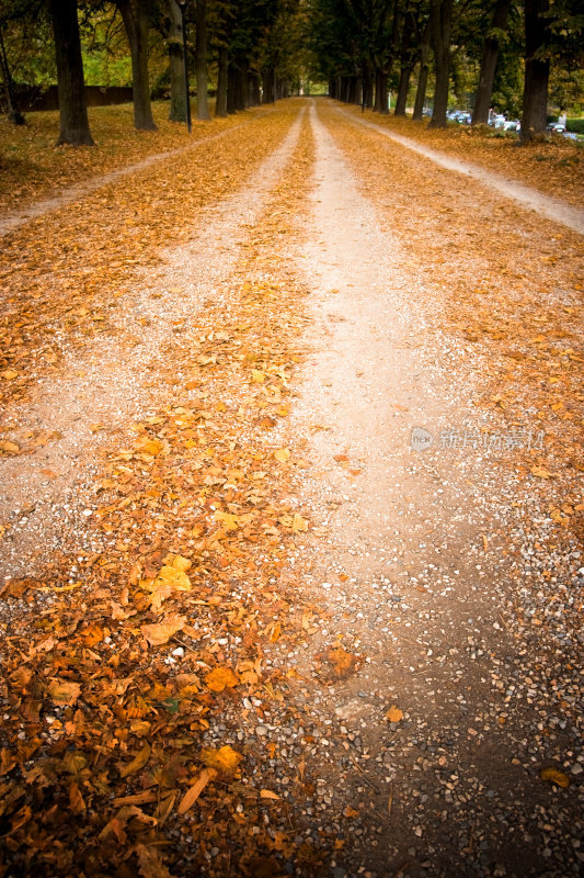 秋天的乡间道路