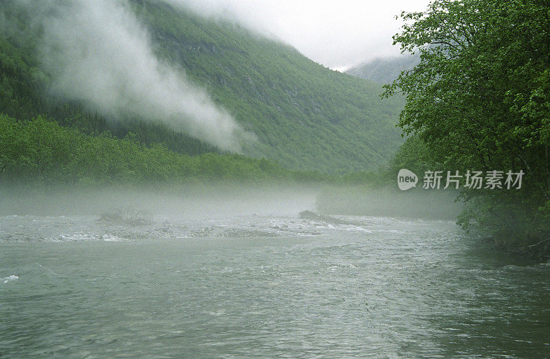 雾蒙蒙的河