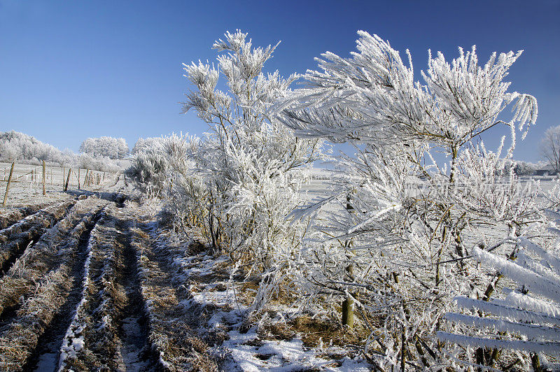 Winterlandscapes层白霜