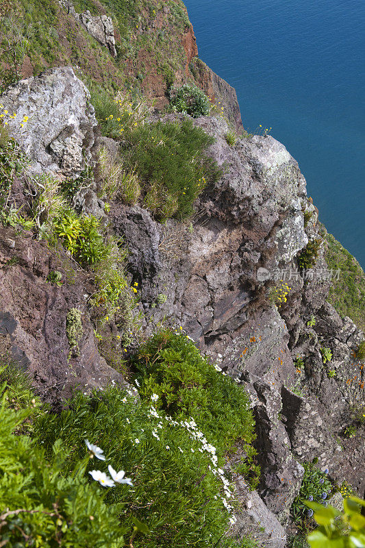 参观马德拉岛:南部海岸地区